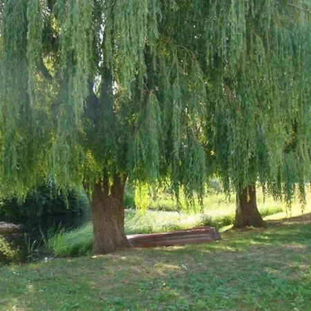 De Charme Avec Jardin, Equipe Pour Familles Et Bebes, A 15km De Dunkerque Et 3km De Bergues - Fr-1-510-170 Holiday home *